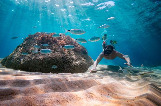 tardeo murcia planes snorkel buceo